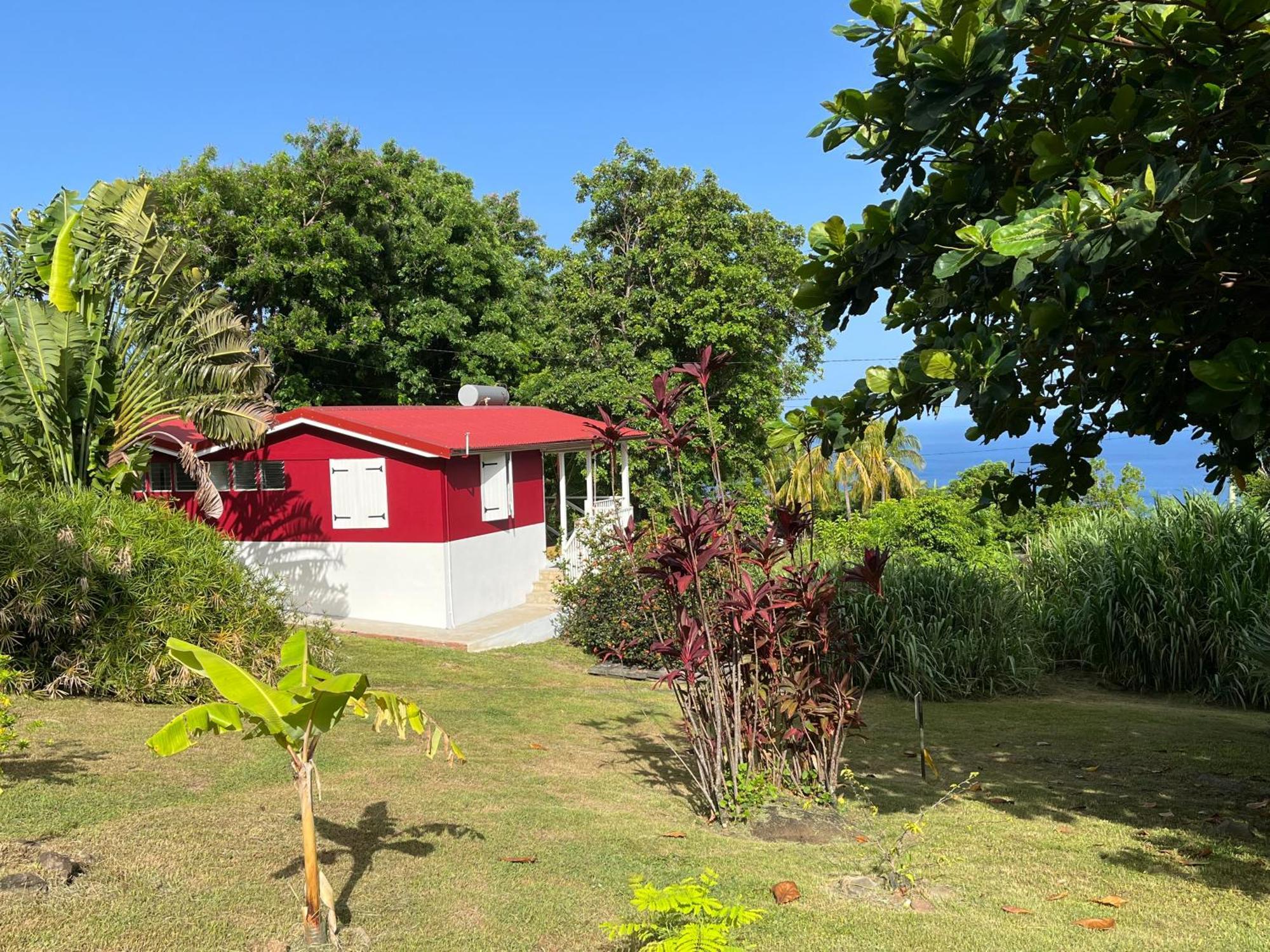 Grand Bungalow Avec Piscine Et Vue Mer بويانت المظهر الخارجي الصورة